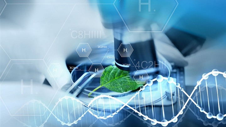 台大生機系的師資與課程涵蓋農業與生物工程、機械工程、電機與資工、化工與醫工等四大領域。